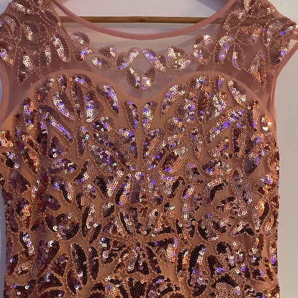 NWT BEAUTIFUL BLUSH GOWN - Picture 2 of 7